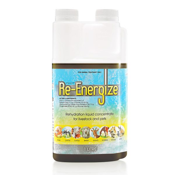 Re-Energize 1lt