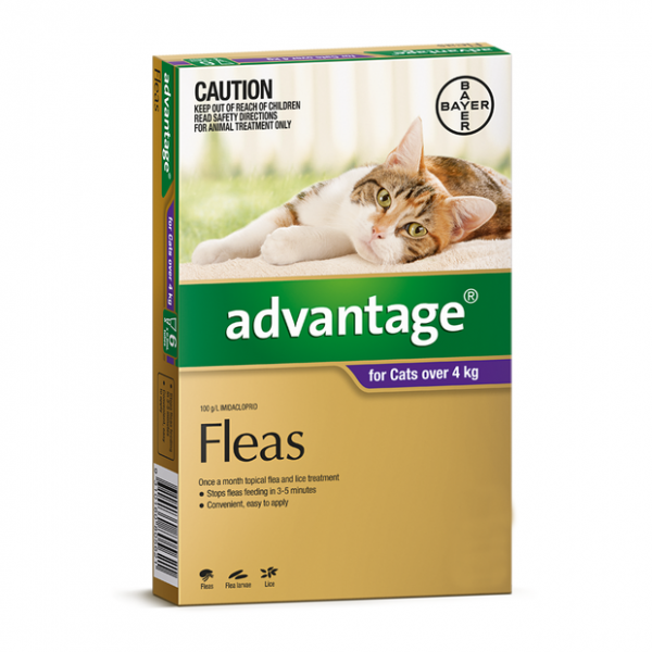 Advantage Cat 4kg+