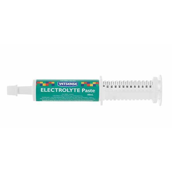 Vetsense Electrolyte Paste