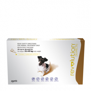 Revolution Dog 5-10KG + Canex Intestinal Wormer